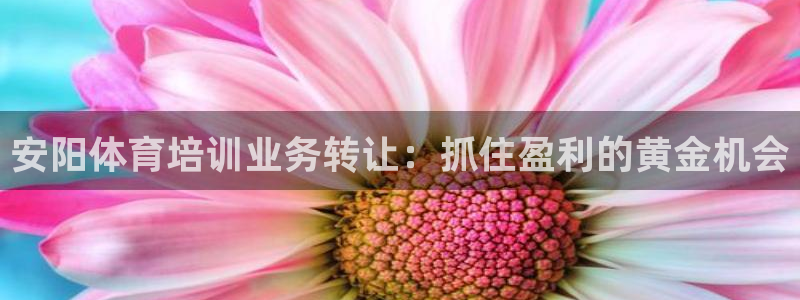 尊龙z6集团：安阳体育培训业务转让：抓住盈利的黄金机会