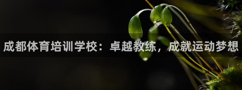 尊龙凯时人生就是搏z6com：成都体育培训学校：卓越