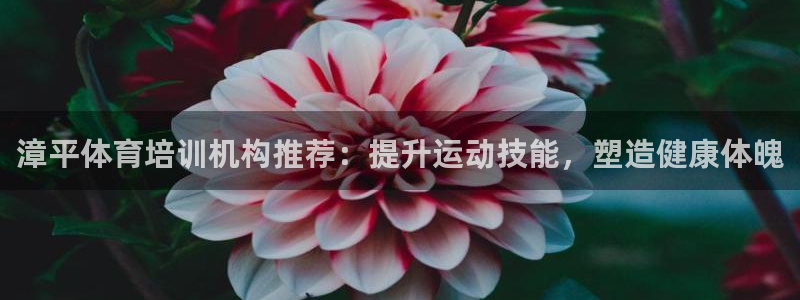尊龙凯时网：漳平体育培训机构推荐：提升运动技能，塑造健康体魄