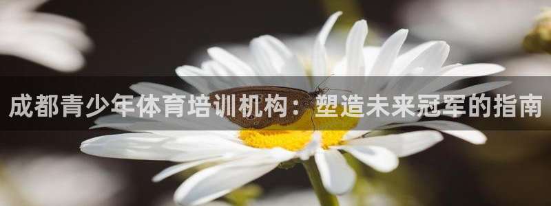 尊龙传奇英文怎么写：成都青少年体育培训机构：塑造未来
