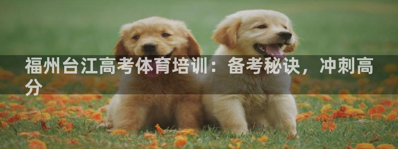 凯时app赢AG发财网来就送38：福州台江高考体育培