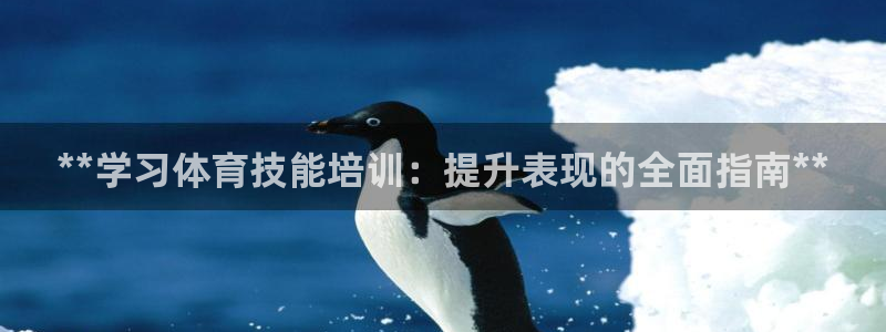 尊龙旗舰app：**学习体育技能培训：提升表现的全面