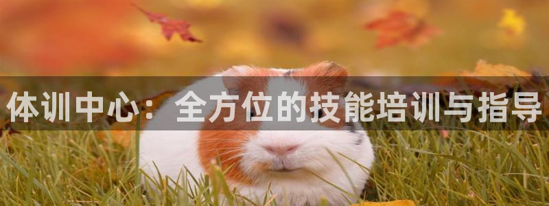 尊龙凯时 人生就是搏 平台