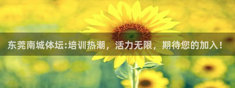 尊龙服饰有限公司地址