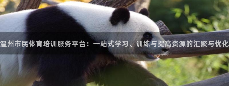 z6尊龙凯时旗