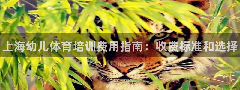 尊龙官网下载：上海幼儿体育培训费用指南：收费标准和选择