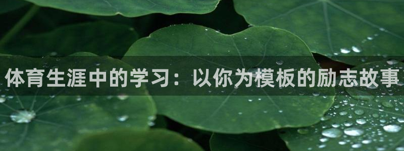 尊龙凯时网站首页手机登录