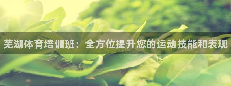 凯时国际app首页登录入口：芜湖体育培训班：全方位提升您的运