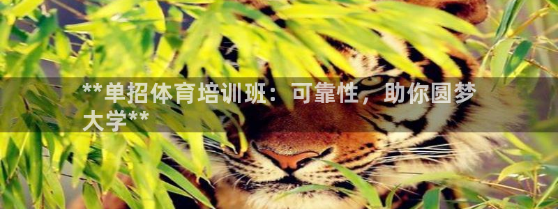 尊龙凯时请求参数不符合：**单招体育培训班：可靠性，助你圆梦