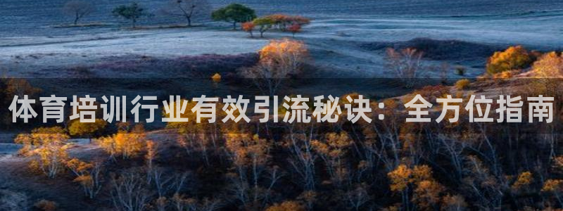 尊龙/人生就是博：体育培训行业有效引流秘诀：全方位指