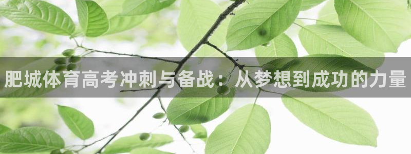 尊龙Ag：肥城体育高考冲刺与备战：从梦想到成功的力量