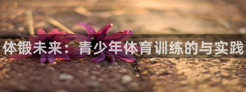 尊龙凯时老板是谁：体锻未来：青少年体育训练的与实践