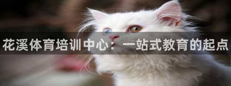 ag尊龙凯时俱乐部：花溪体育培训中心：一站式教育的起