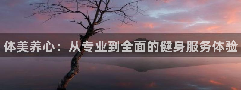 尊龙凯时提不了款：体美养心：从专业到全面的健身服务体