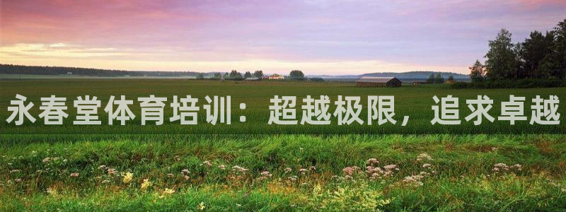 尊龙t500和t300区别