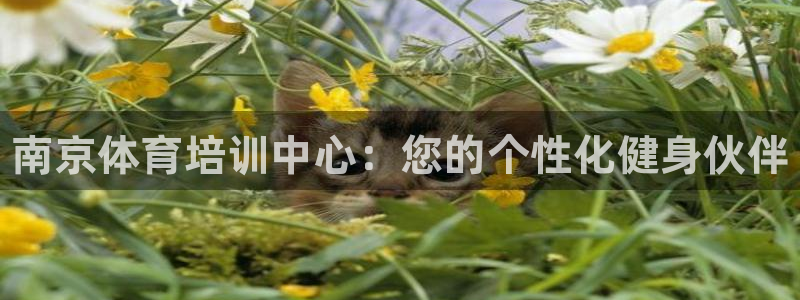 凯时ag旗舰厅：南京体育培训中心：您的个性化健身伙伴