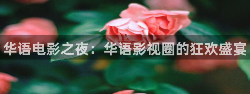 abc影视平民影院：华语电影之夜：华语影视圈的狂欢盛宴