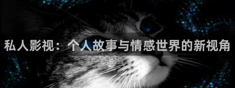 p平民影院：私人影视：个人故事与情感世界的新视角