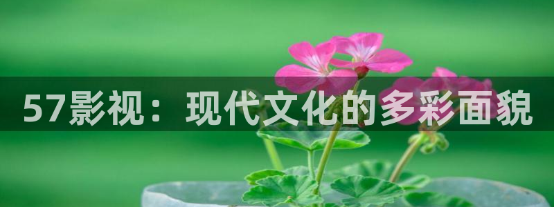 abc影视平民影院：57影视：现代文化的多彩面貌