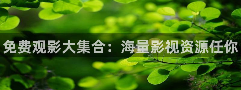 平民影院伦理片：免费观影大集合：海量影视资源任你