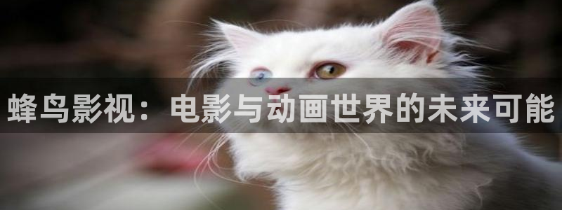 平民影院app：蜂鸟影视：电影与动画世界的未来可能