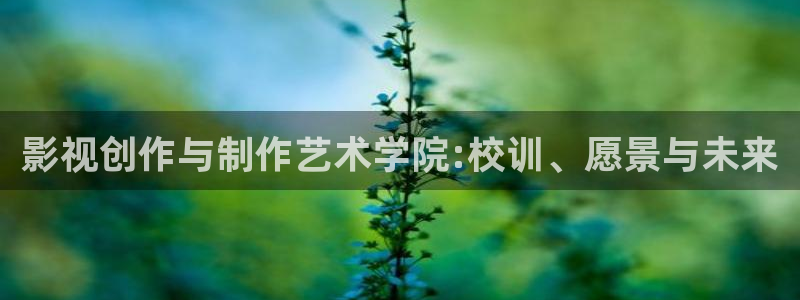 平民影院观看：影视创作与制作艺术学院:校训、愿景与未来